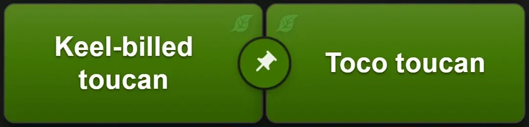 The two green name tiles, “Keel-billed toucan” and “Toco toucan”, with a small round pin button sitting between them.